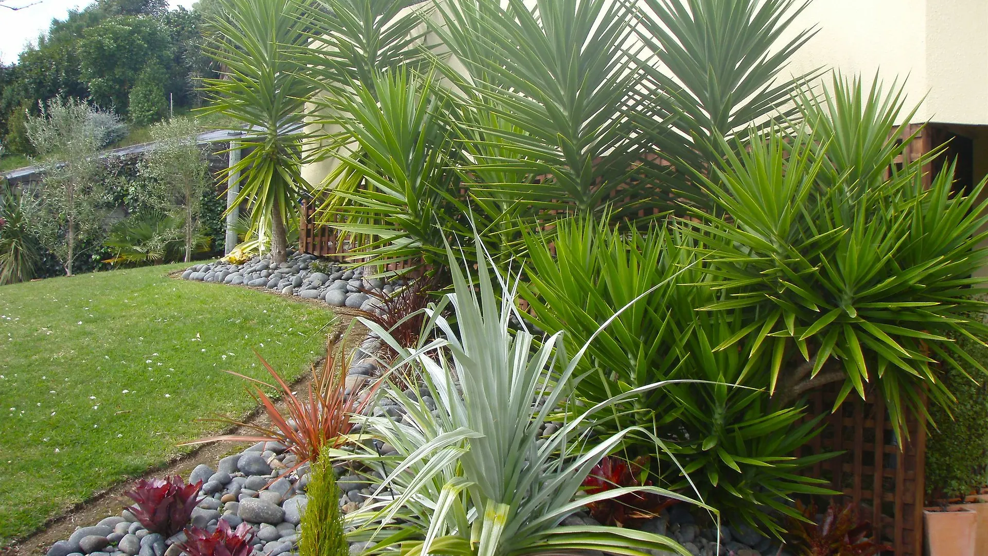 טאורנגה Seascape Villa B&B
