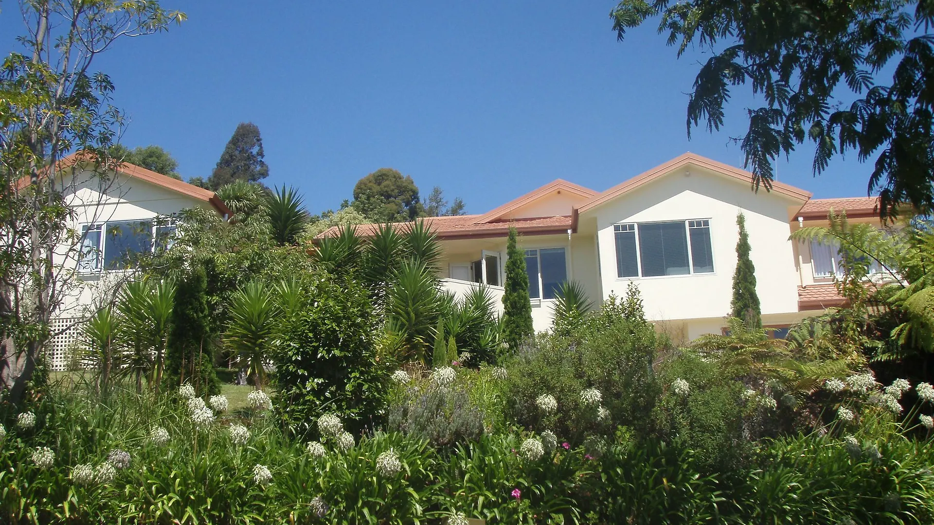 Seascape Villa B&B Tauranga